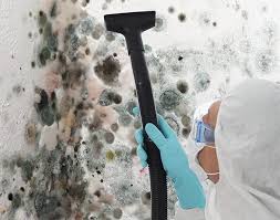 Trusted Gorman, NC Mold Removal & Remediation Experts